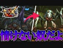 【MHXX】情けない奴だよ。お前は【モンスターハンターダブルクロス】part38