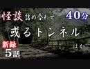 【怪談】怖い話詰め合わせ「角女」「或るトンネル」「未明の侵入者」ほか5話【VOICEPEAK】