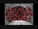 山の中にある古びたトンネル、その先には…(特選怖い話/ホラーテラー/山に関する怖い話/トンネルに関する怖い話/朗読/水野くろ)