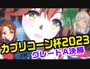 【ウマ娘】【ゆっくり実況】忘れさせない「高マーつ宮記念」！　カプリコーン杯2023グレードA決勝！  #22