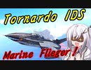 【WarThunder RB】 アリアルは全部ぶっ壊したい！#6 Tornardo IDS [CoeFont 実況]