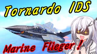 【WarThunder RB】 アリアルは全部ぶっ壊したい！#6 Tornardo IDS [CoeFont 実況]