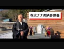 寺犬ナナが亡くなって一年目になりました