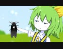 DIYUSIの昆虫採集☆
