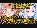 ▽デビュー当初の苦悩と、叶のある行動に感謝しているひまちゃん【リゼ/本間ひまわり/叶/にじさんじ切り抜き】