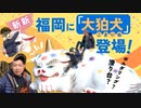 「大名の森に住む守り神」巨大狛犬が福岡大名ガーデンシティに登場　子供が登って遊び場に！