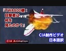 『TWA800便：目撃者は何を見たのか？』(CIA