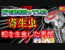 【2017年中国】突然気絶して痙攣を始めた男性 脳から10cm以上ある生きた寄生虫が発見される『マンソン裂頭条虫症』【ゆっくり解説】