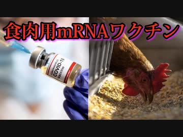 アメリカ産の食肉にmRNAワクチンによる汚染が迫る。