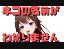 【コメ付き】猫の名前がわからないときのそら【ホロライブ切り抜き】