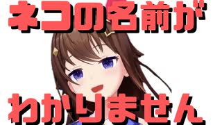 【コメ付き】猫の名前がわからないときのそら【ホロライブ切り抜き】