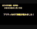 紅子の宇宙船 －音声版－ 2023年01月20日