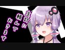 【ソフトウェアトーク劇場】ガンルームトーク一式四号三型【ついなちゃん・結月ゆかり】
