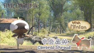 【FF14】主観モードでお散歩 ミニマンドラゴラと歩く中央森林