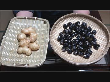 寒シジミ、菊芋【長火鉢とおっさん293】