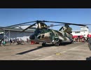 Nov. 2018   JASDF Iruma AB airshow Saitama Japan 日本　埼玉　航空自衛隊　入間航空祭
