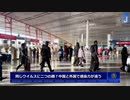 【答え合わせ】　 同じウイルスに二つの顔？　中国と他の国で感染力が全く違う！ 【タネ明かし】