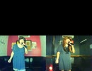 フェンス／PARADISE LOST