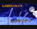 つづみの10秒おさかな解説#3　ニシキアナゴ【第2回CeVIOクリエイト祭】