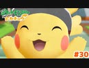 画面いっぱいに飛びついてくるぴか【Let’s Go!ピカチュウ】＃30