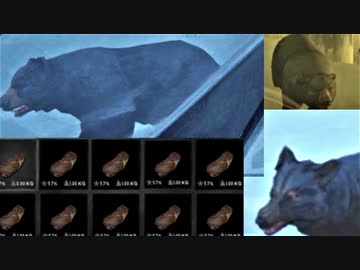 クマ！！！！！！！！！！！！！！！！！！！！！