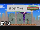 叫べ！叫べ！叫べ！ 吐き出したがりのフェアリン参戦 『スーパーペーパーマリオ』 #12