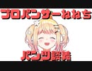 【コメ付き】プロのパンサーねねちによるパンツ談義【ホロライブ切り抜き】