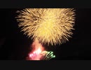 【2023.1.21】河口湖 冬花火 「大池公園(メイン会場)」