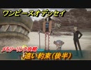 ワンピースオデッセイ　遠い約束（後半）　メモリーリンク攻略　＃１９８　【ONE PIECE ODYSSEY】