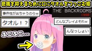 なぜか犯罪臭がすごいルーナ姫のBACKROOMS1998実況