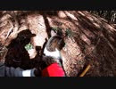 （続・普通に山歩き回ｗ）変態忍者の、有害鳥獣駆除従事活動記・その２２７