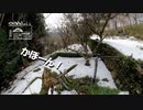 【第98回】雪の裏山とエリザベスカラーとモワモワと身長比較