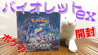 【ポケカ最新弾】バイオレットex開封！レアなカード出ておいで！