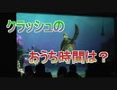 クラッシュはおうち時間どう過ごす？【タートルトーク】東京ディズニーシー