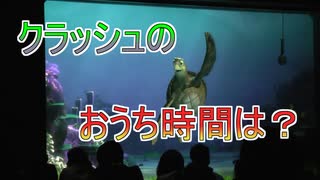 クラッシュはおうち時間どう過ごす？【タートルトーク】東京ディズニーシー