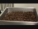 珈琲豆の焙煎記録(20230115-2)