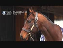 【海外競馬】フライトライン　2022年世界最強馬へ