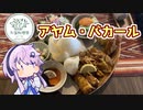 【外国料理祭】フィーちゃんとインドネシア料理を食べにゆるポタ【アヤム・バカール】