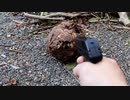 LCPで庭の蜂の巣玉（空）を撃ってみる