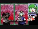 【花映塚Normal7~8 クリア】グレイソーマター実況 265【射命丸文】
