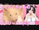 メイメイのハムスターの日常。
