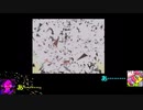 一般人のおっさんがDDRを頑張る！part13(再うｐ)