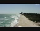 海岸(inst)