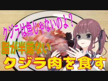 クジラは魚じゃない。脂の鬼、クジラ肉を食す！