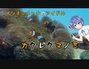 つづみの10秒おさかな解説#4　カクレクマノミ【第2回CeVIOクリエイト祭】