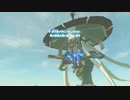 【ゼルダの伝説 Breath of the Wild】遂に導師ミィズ・キョシアと対峙！【DLC】