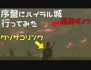 序盤で厄災ガノンに挑んでみた結果　Part 7【ゼルダの伝説ブレスオブザワイルド】