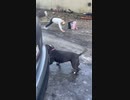 女VS凍結した路面