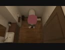 voyeurism