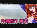 沖縄旅行海辺_ニコニコ動画